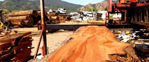 Milling ancient redwood slab at North Cal